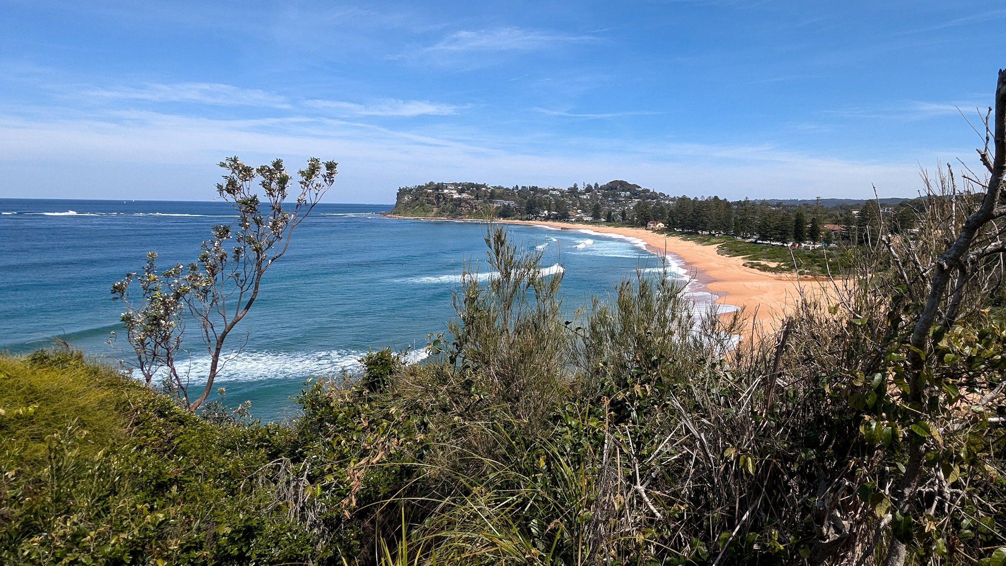 bilgola track (3)